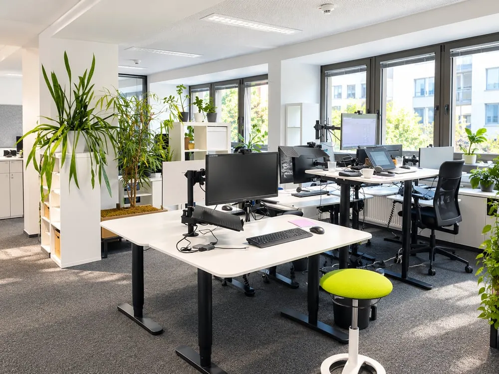 Bright workspaces with height-adjustable desks and plenty of plants